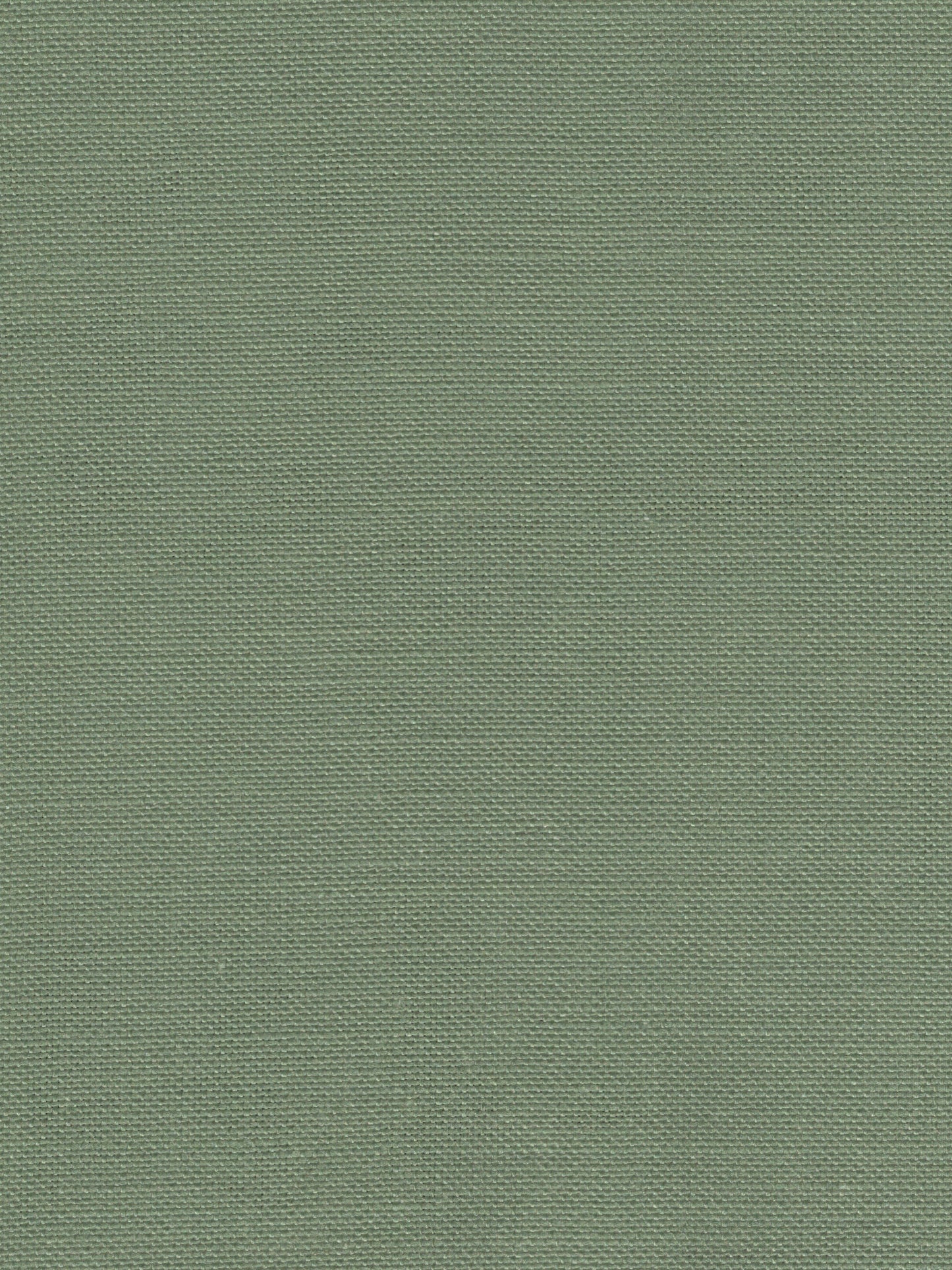 Sage - 28 count - linen