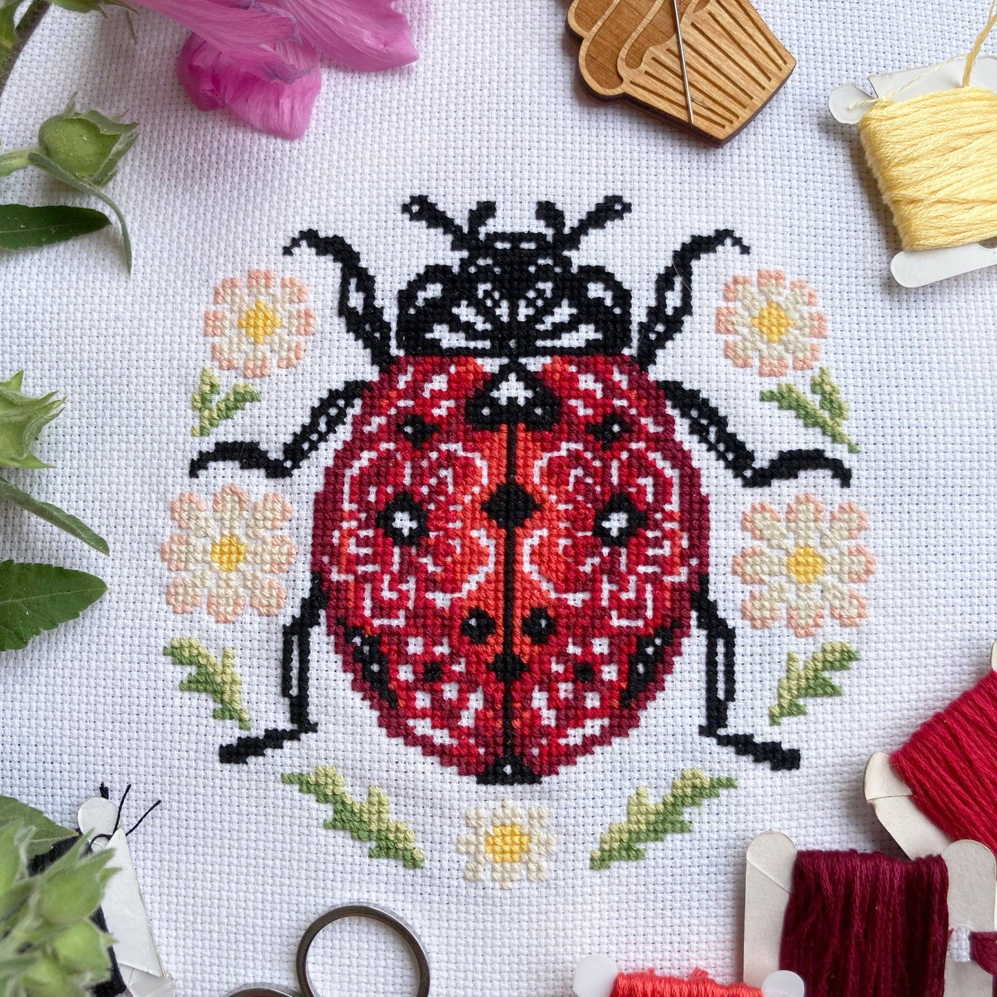 Lil' Ladybird