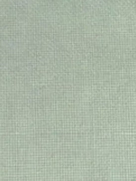 Winter Mint - 20 count - Aida