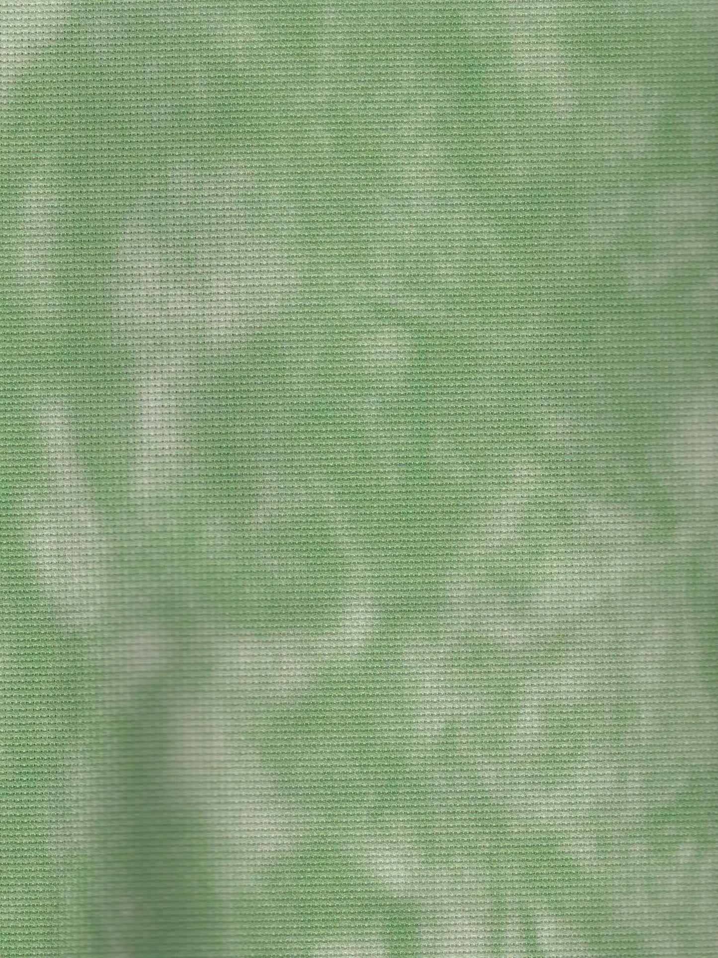 Rosemary - 18 count - Aida