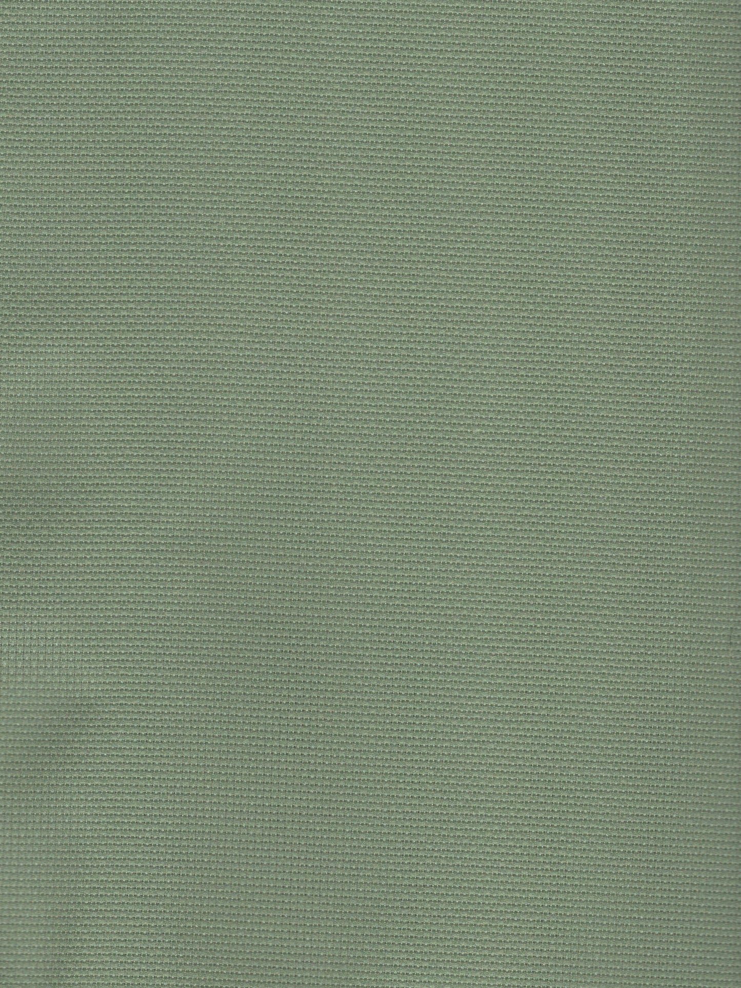 Sage - 18 count - Aida