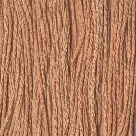 Apple Cider - CCT-279