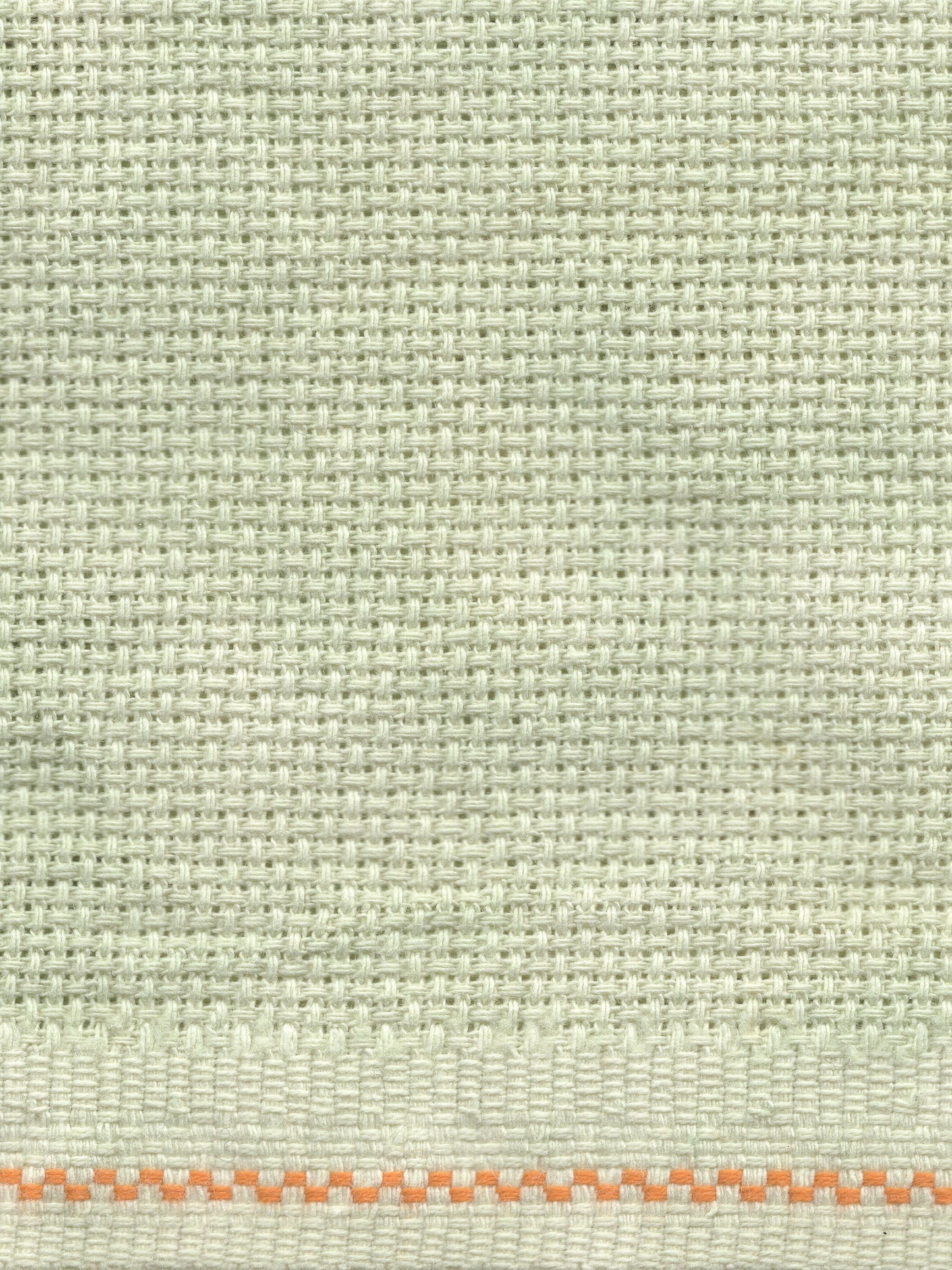 Pear - 18 count - Aida