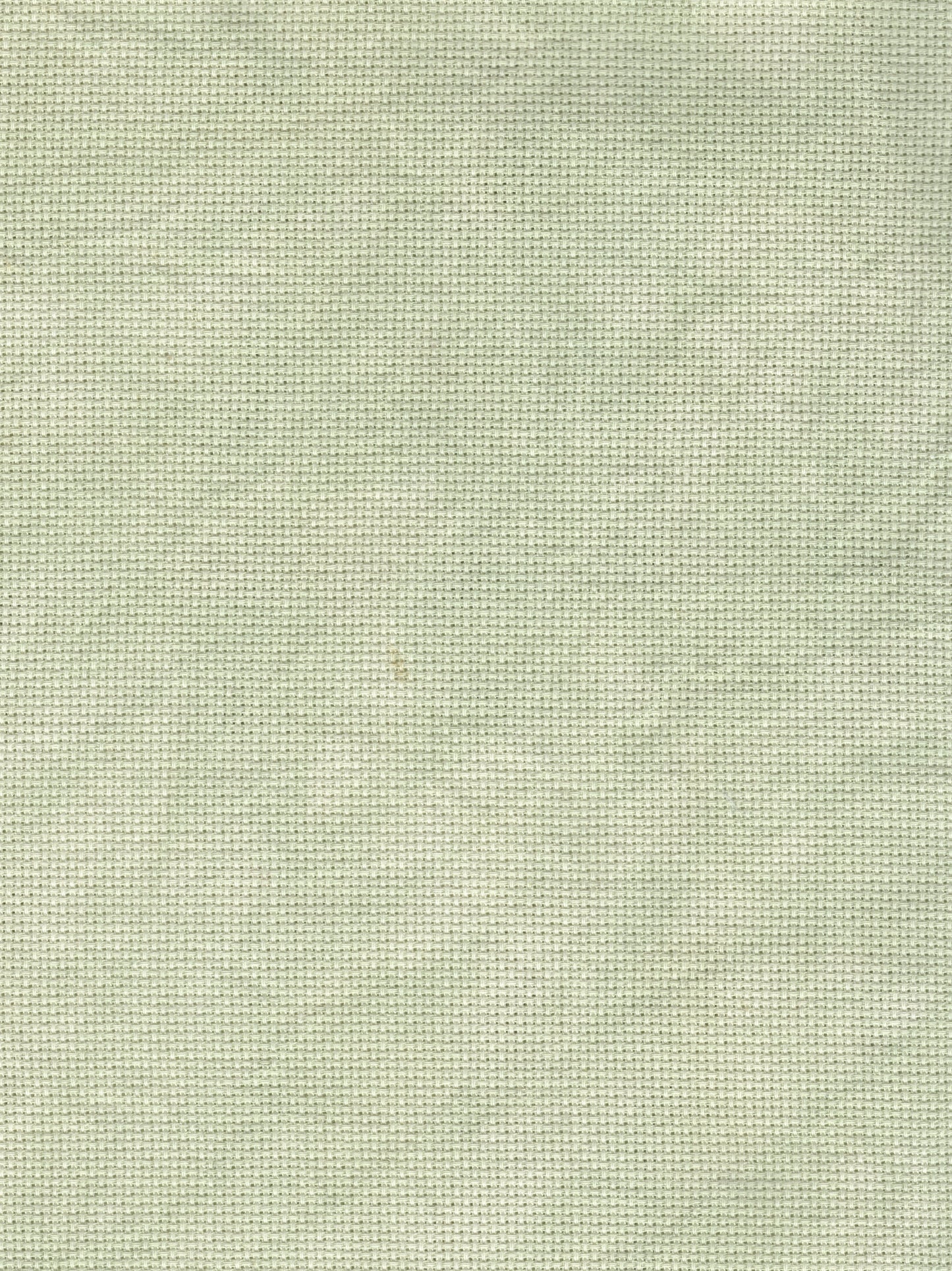 Pear - 18 count - Aida