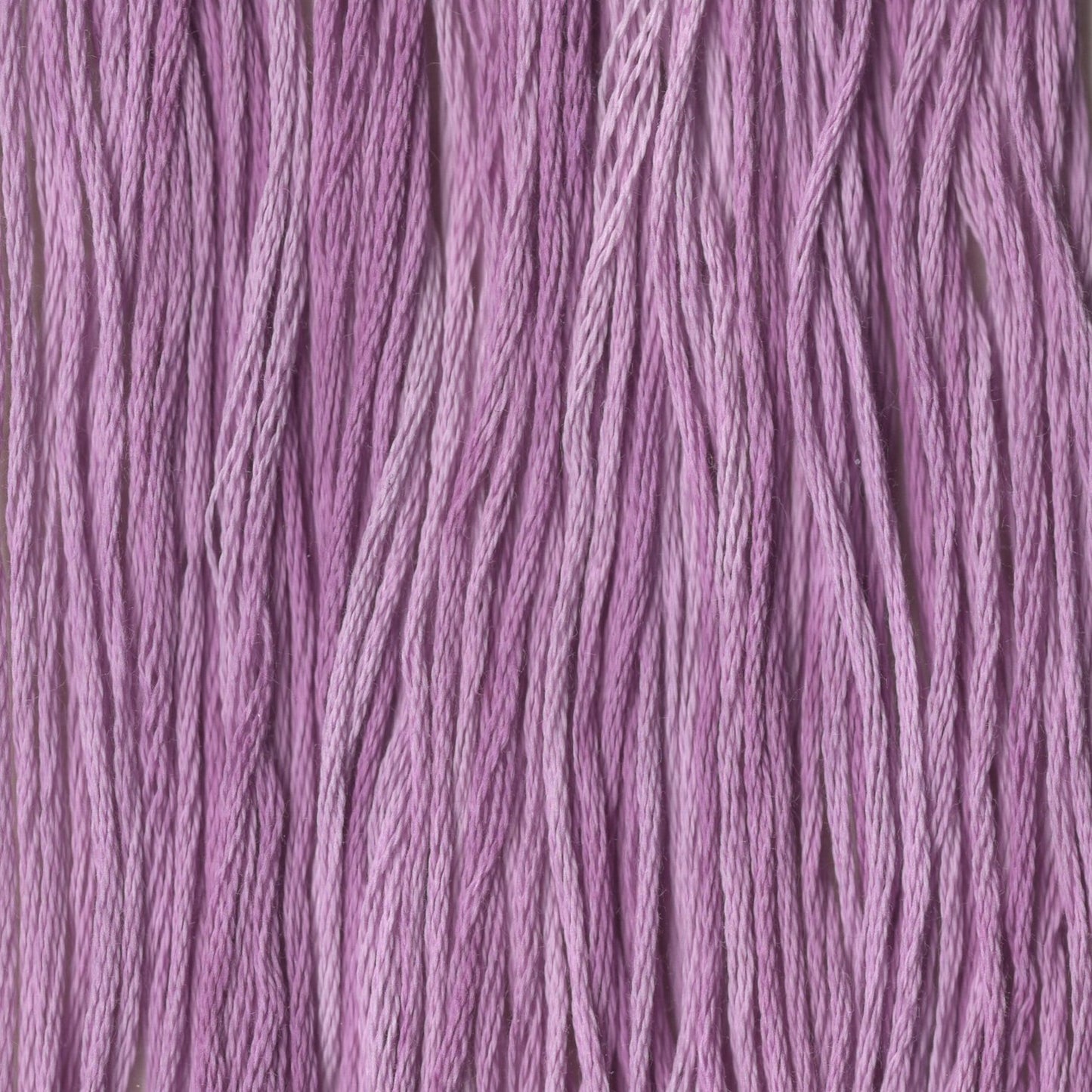 Aunt Marie's Violet - CCT-061