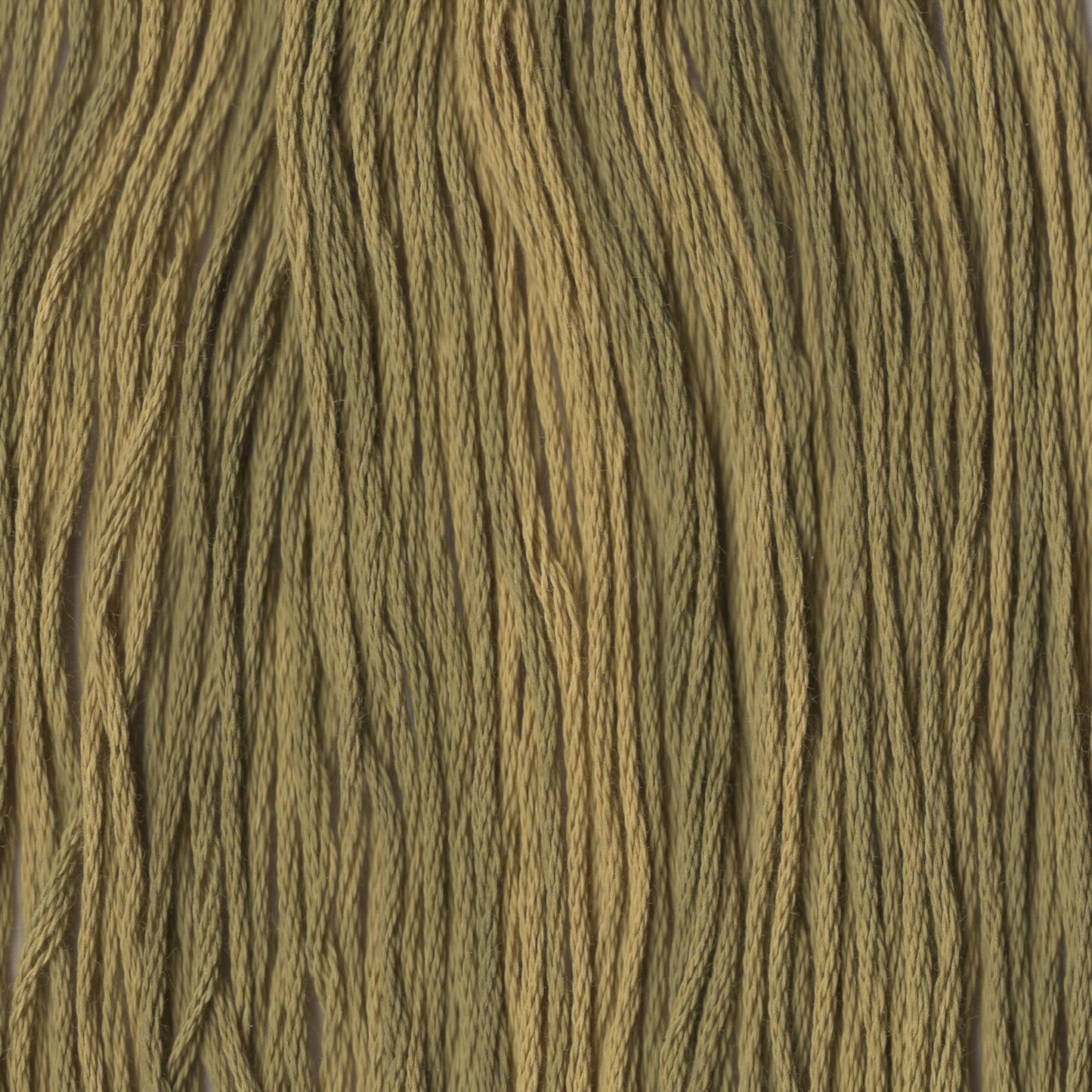 Avocado - CCT-207