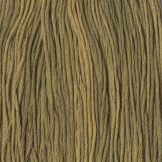 Avocado - CCT-207