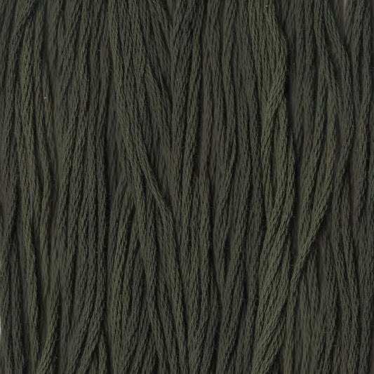 Balsam Fir - CCT-157