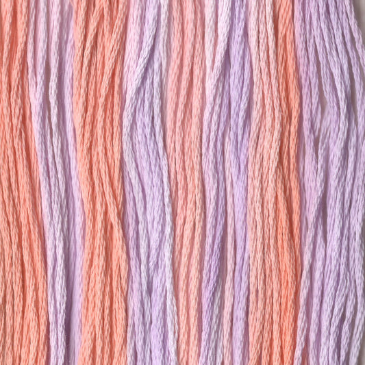 Bambino - CCT-076