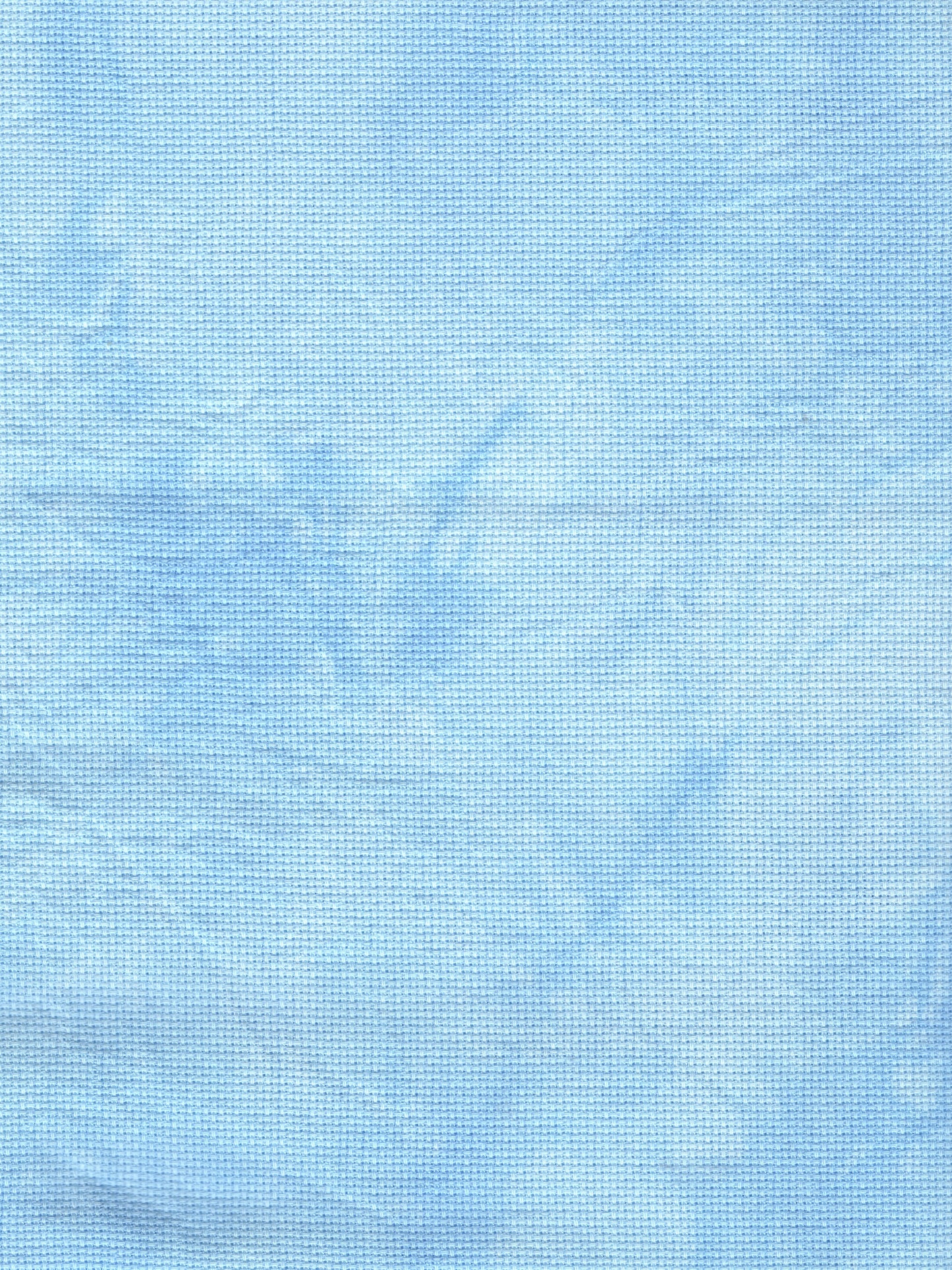 Bluebell - 20 count - Aida