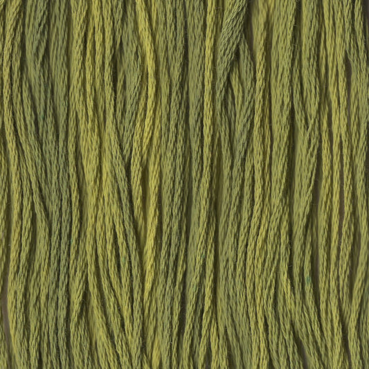 Bean Sprout - CCT-184