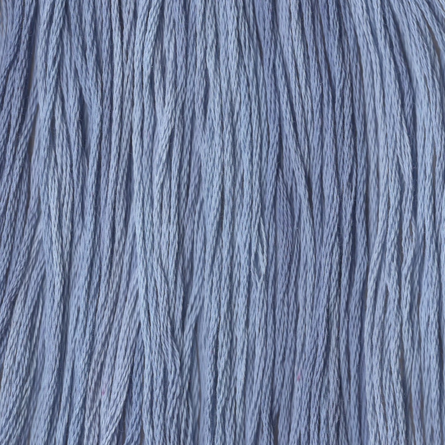 Betty Bluebell - CCT-048