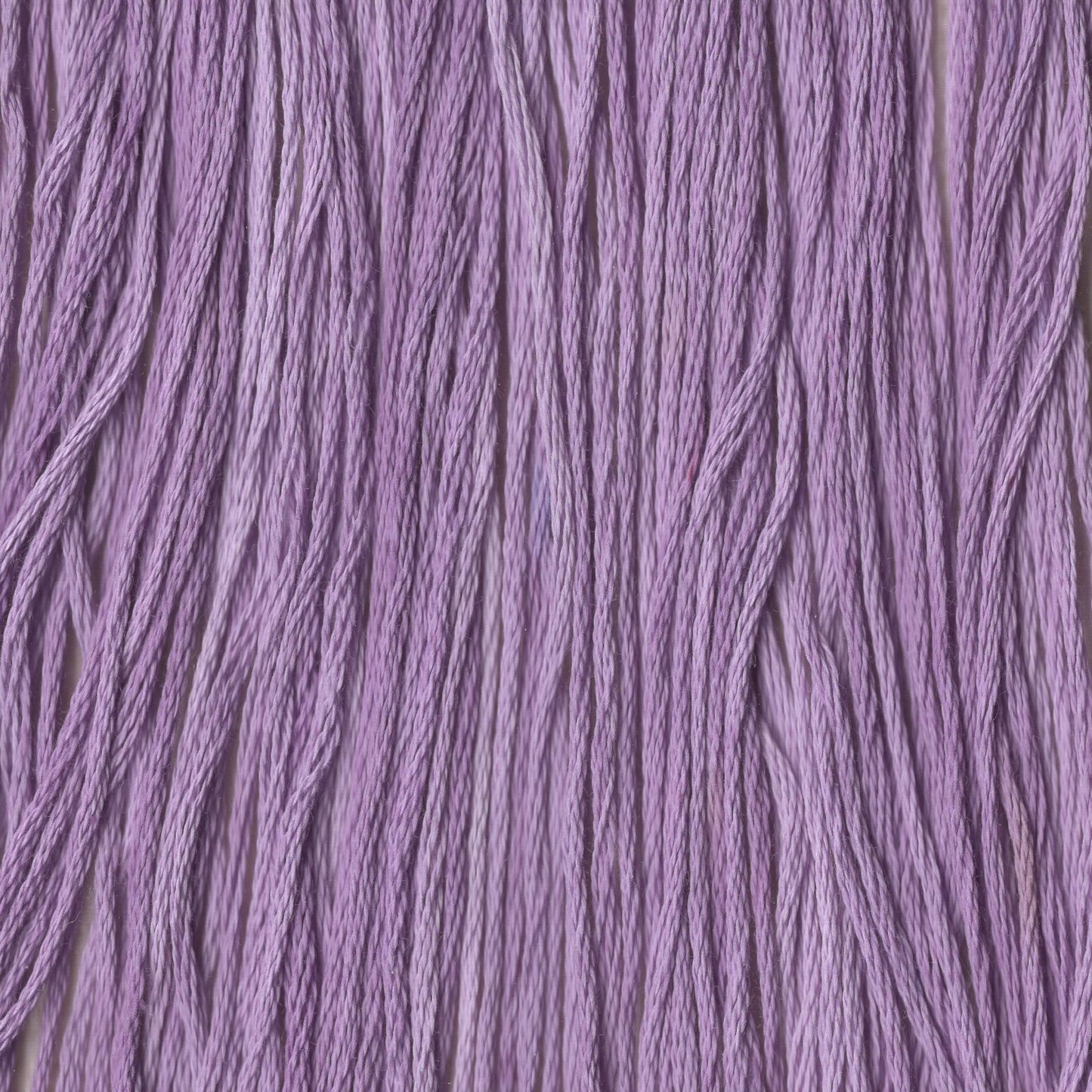 Blooming Crocus - CCT-032