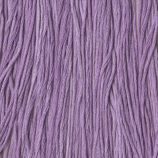Blooming Crocus - CCT-032