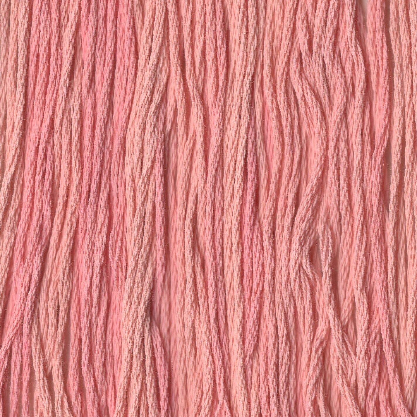 Blushing Beauty - CCT-169