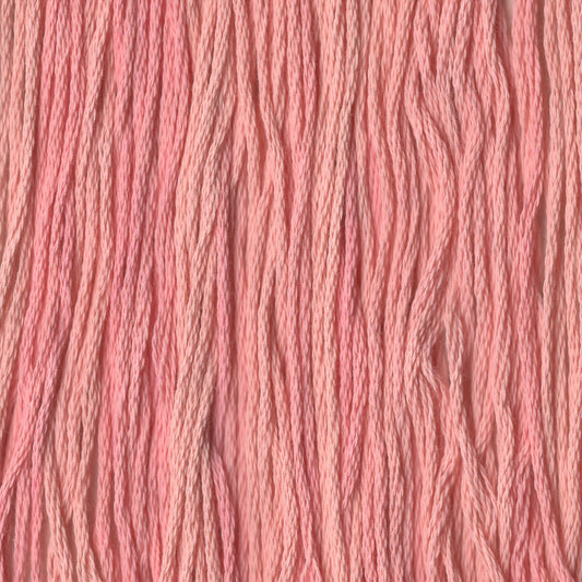 Blushing Beauty - CCT-169