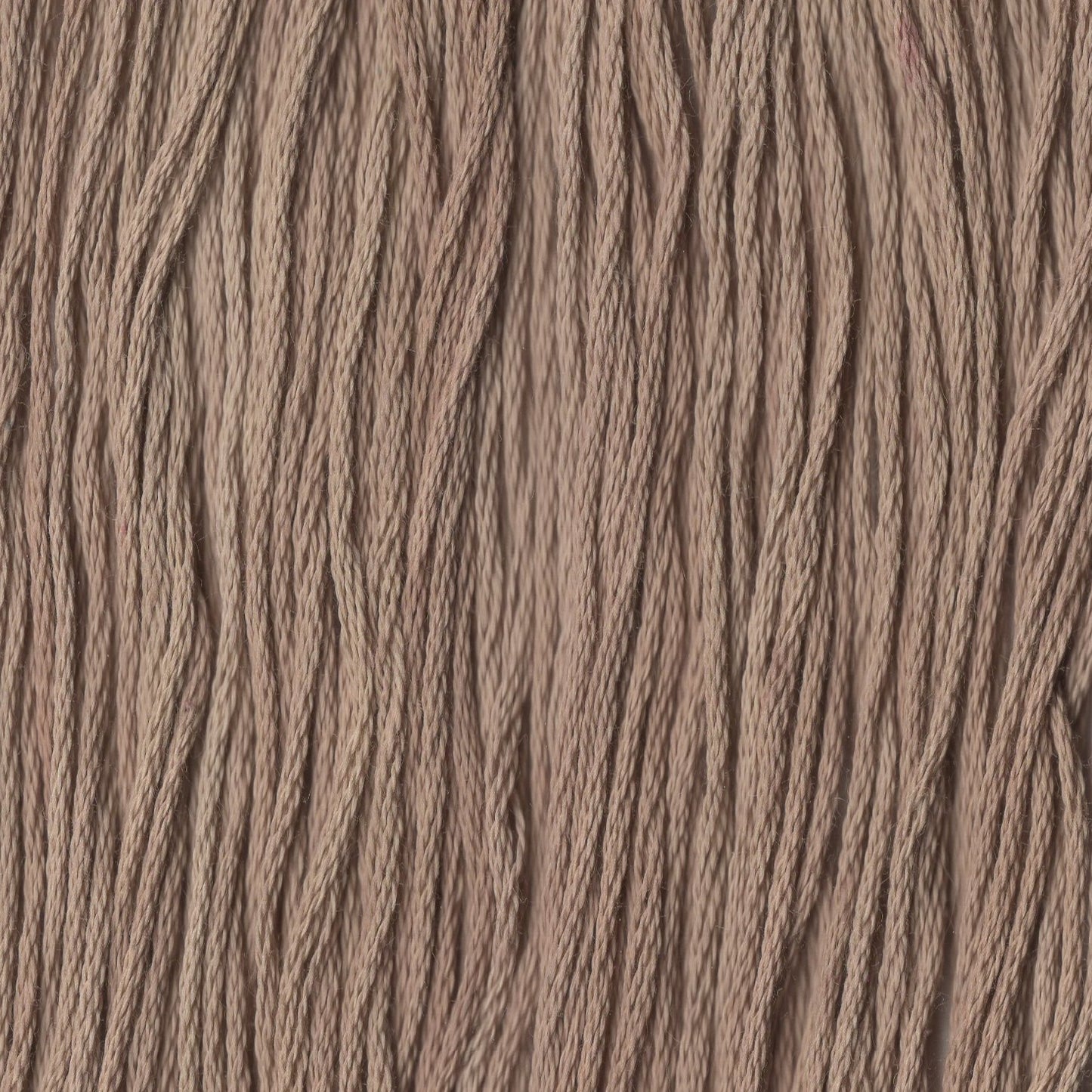 Brown Hen - CCT-220