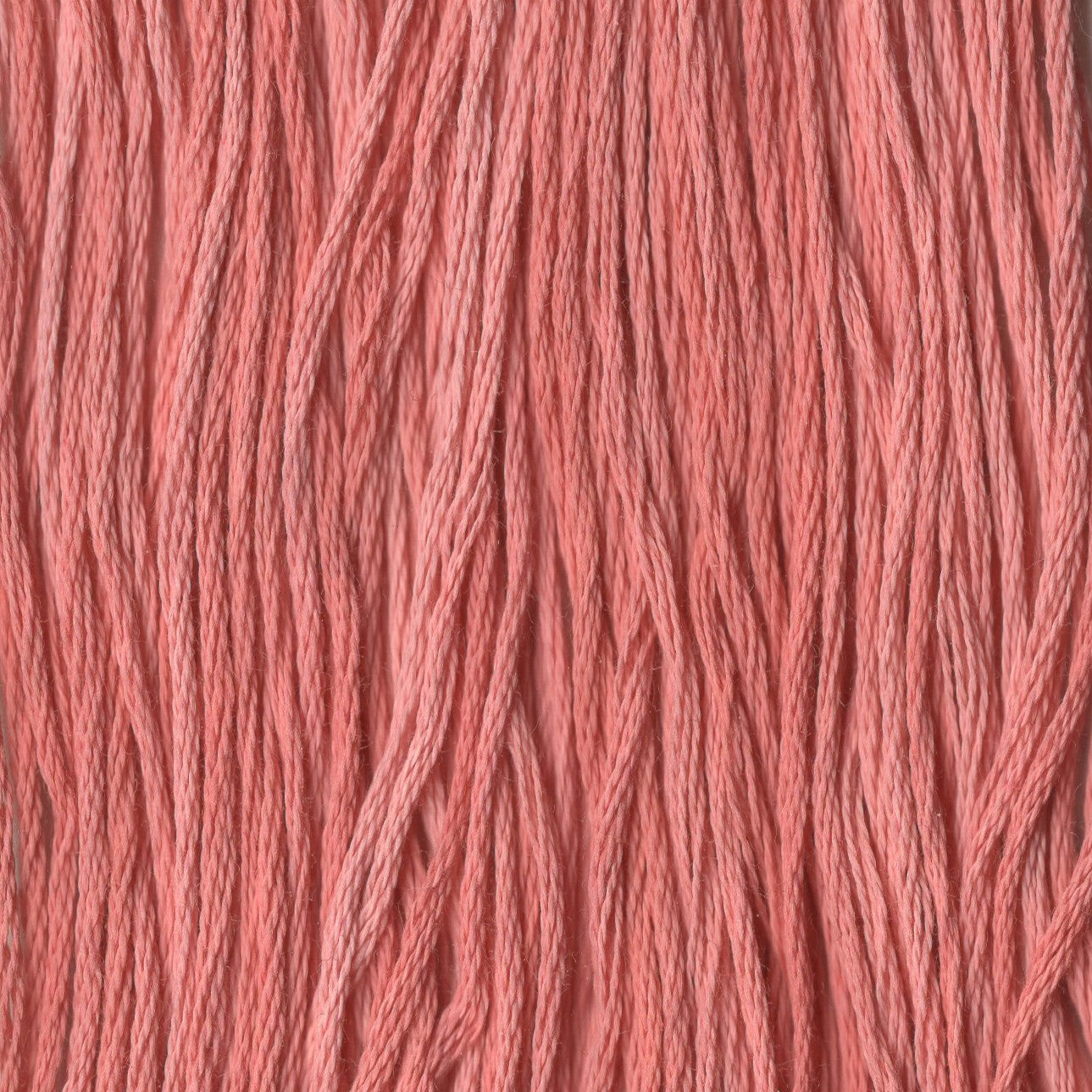 Candied Yams - CCT-006