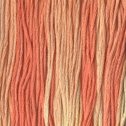 Candy Corn - CCT-173