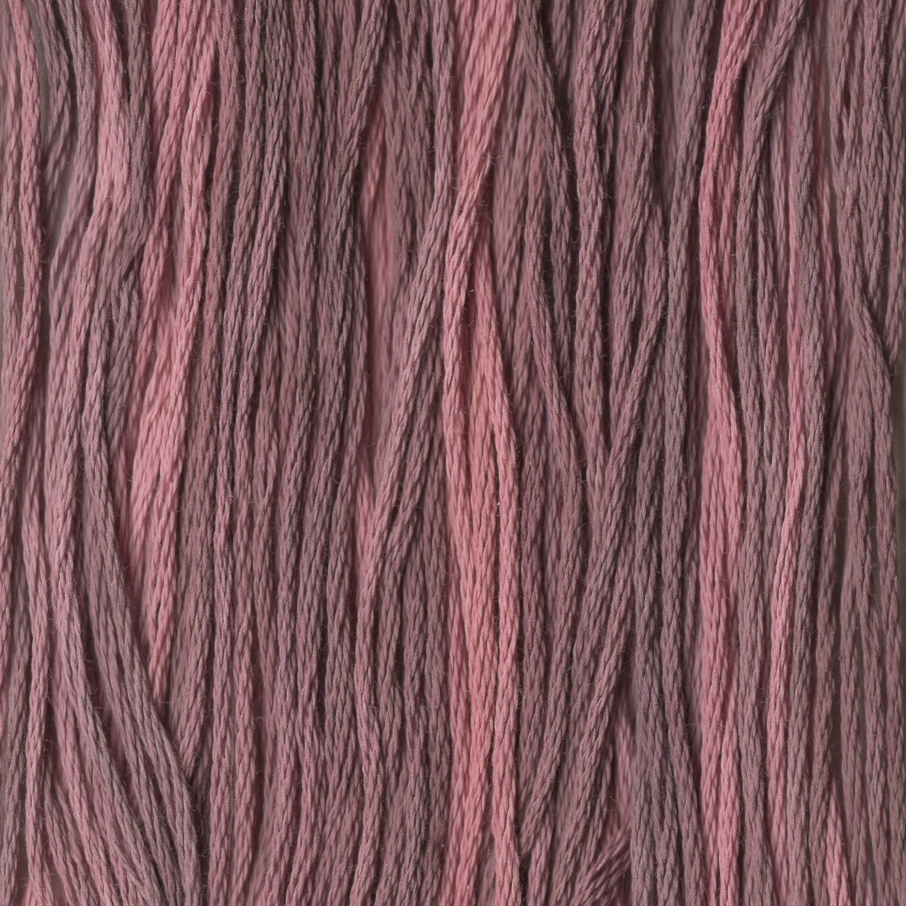 Cappuccino - CCT-007