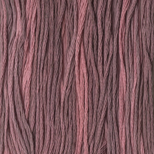 Cappuccino - CCT-007