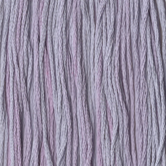 Cashmere - CCT-077