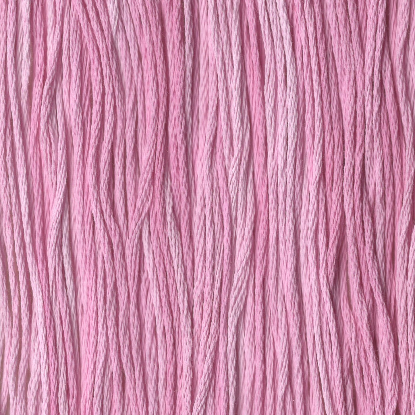Cerise - CCT-008