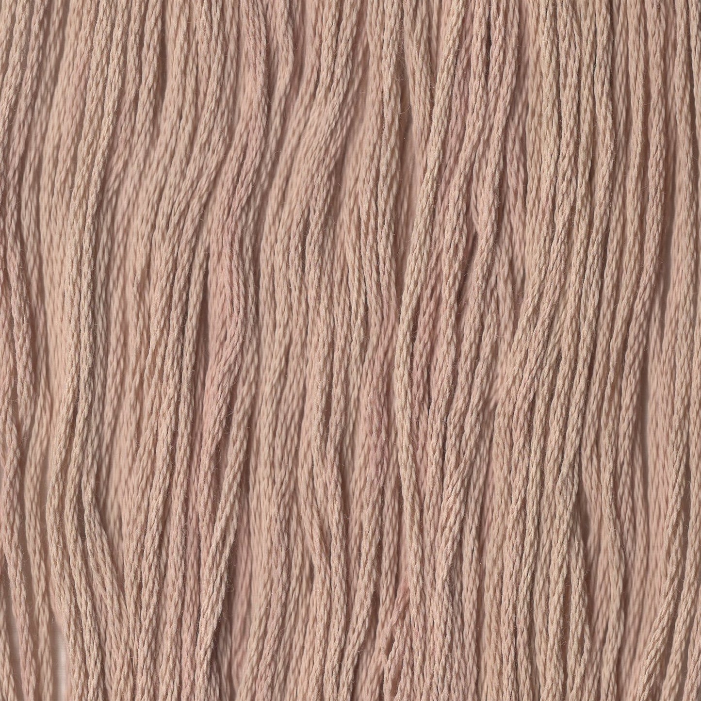 Chai - CCT-208