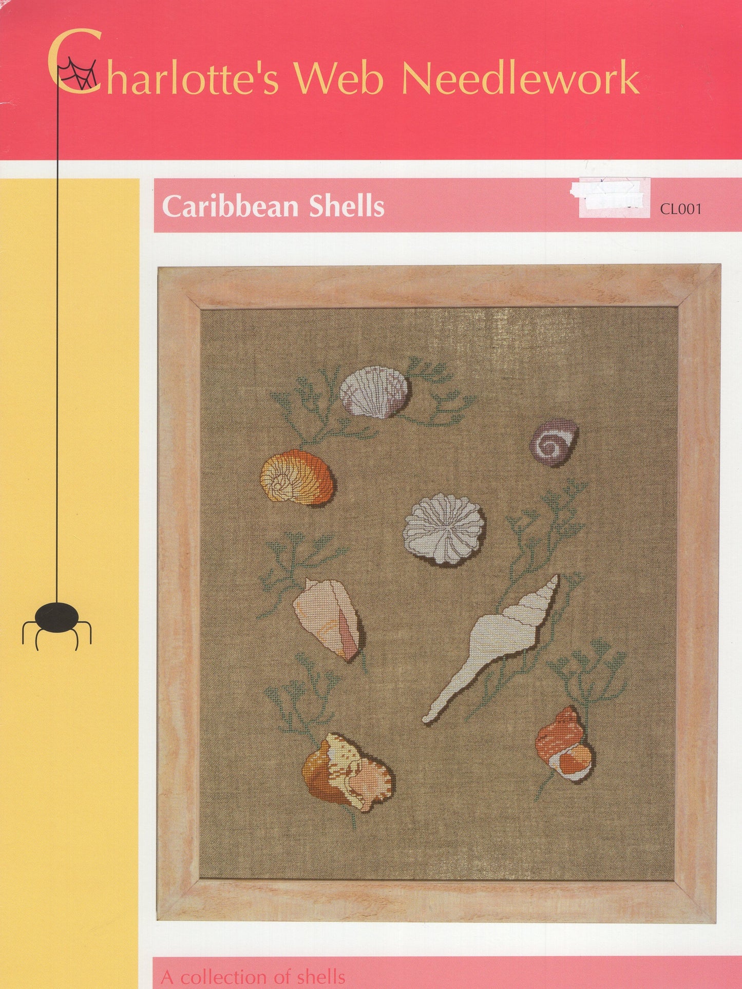 Caribbean Shells - CL001