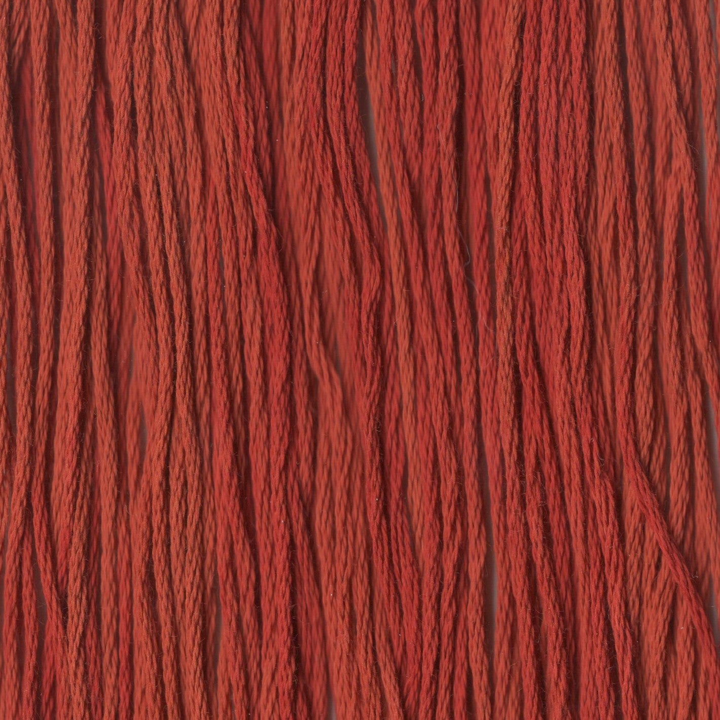 Chili Pepper - CCT-167