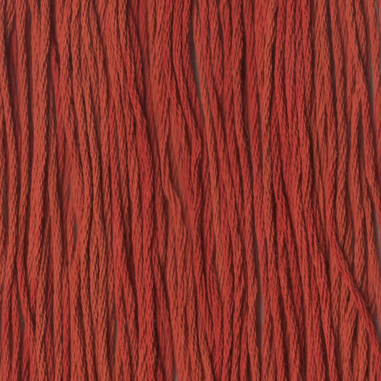 Chili Pepper - CCT-167