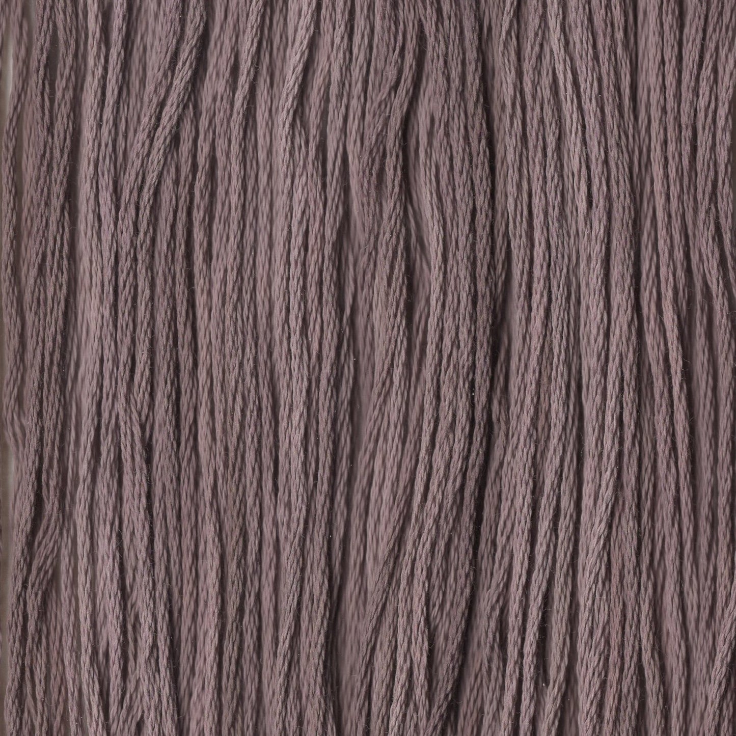 Chocolate Cream Pie - CCT-009