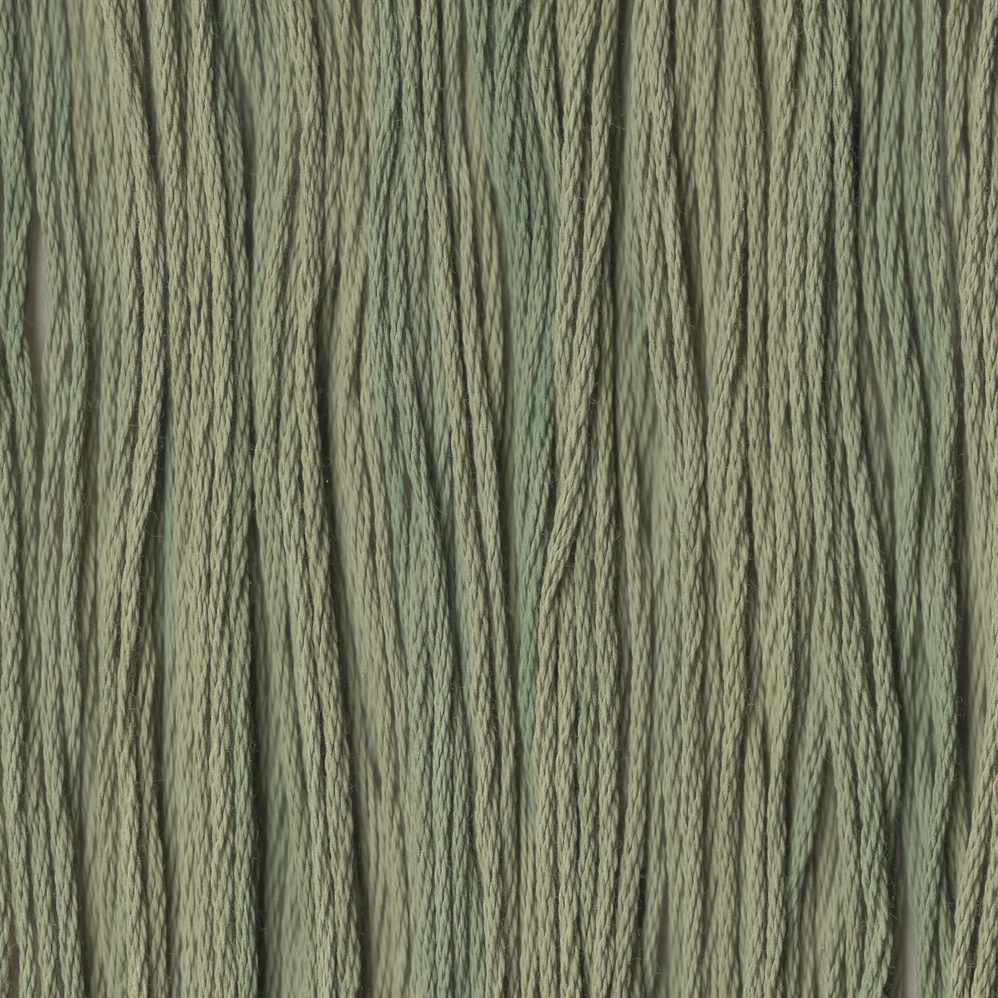 Chopped Chives - CCT217
