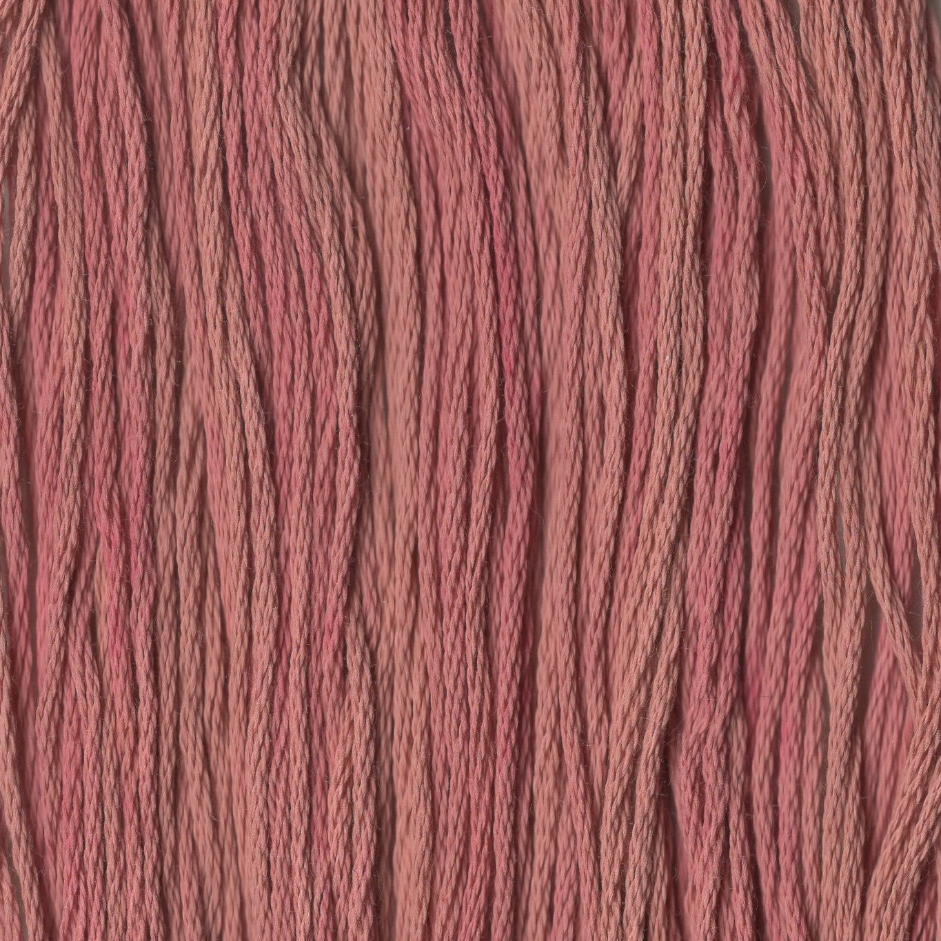 Colonial Rose - CCT-247