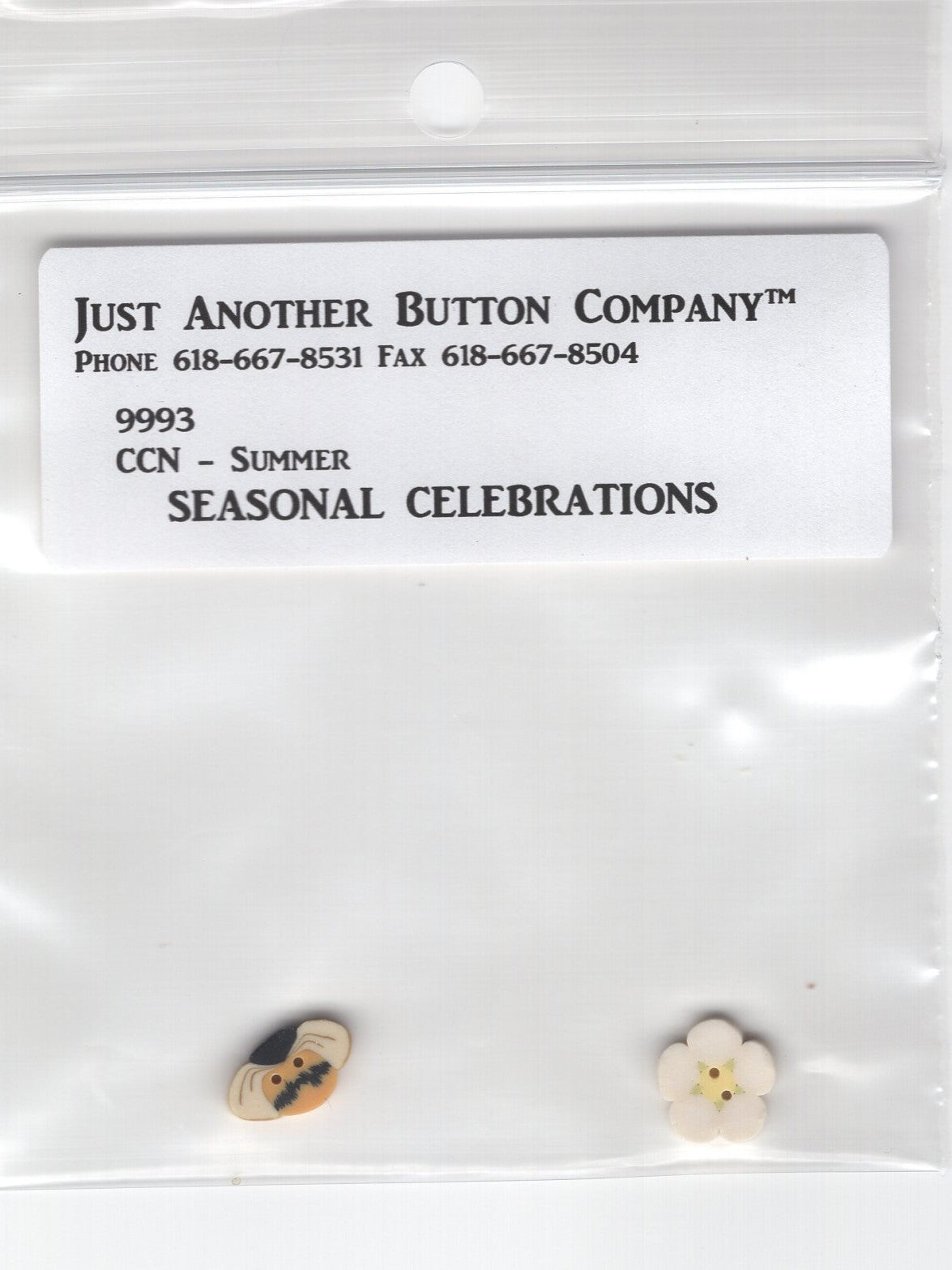 Seasonal Celebrations, Summer
