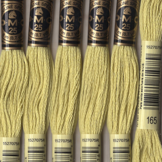 DMC floss - 0165