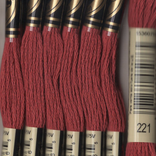 DMC floss - 0221
