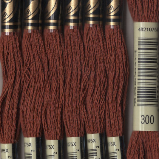 DMC floss - 0300