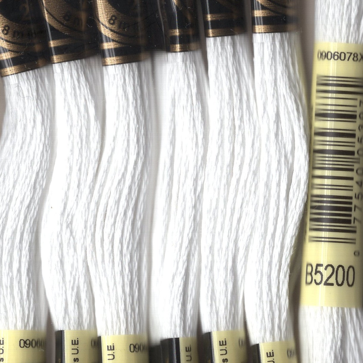 DMC floss - B5200