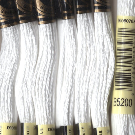 DMC floss - B5200