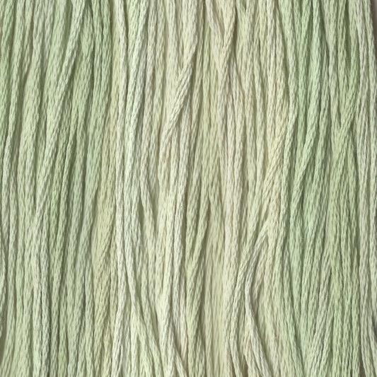 Dandelion Stem  - CCT-119
