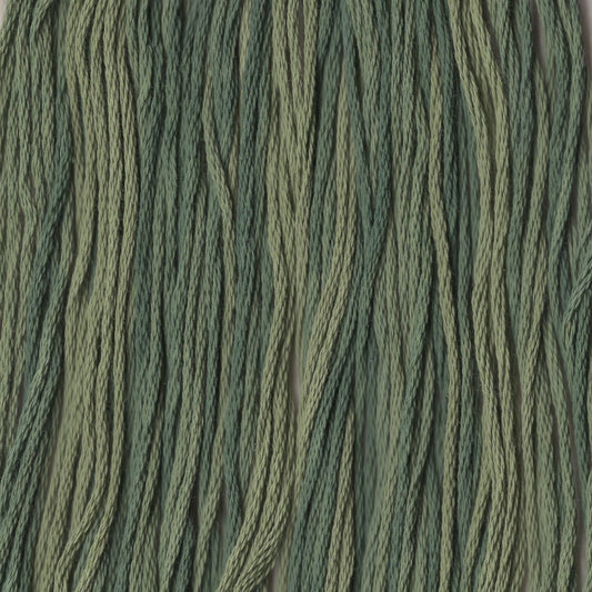 Desert Mesquite - CCT-066