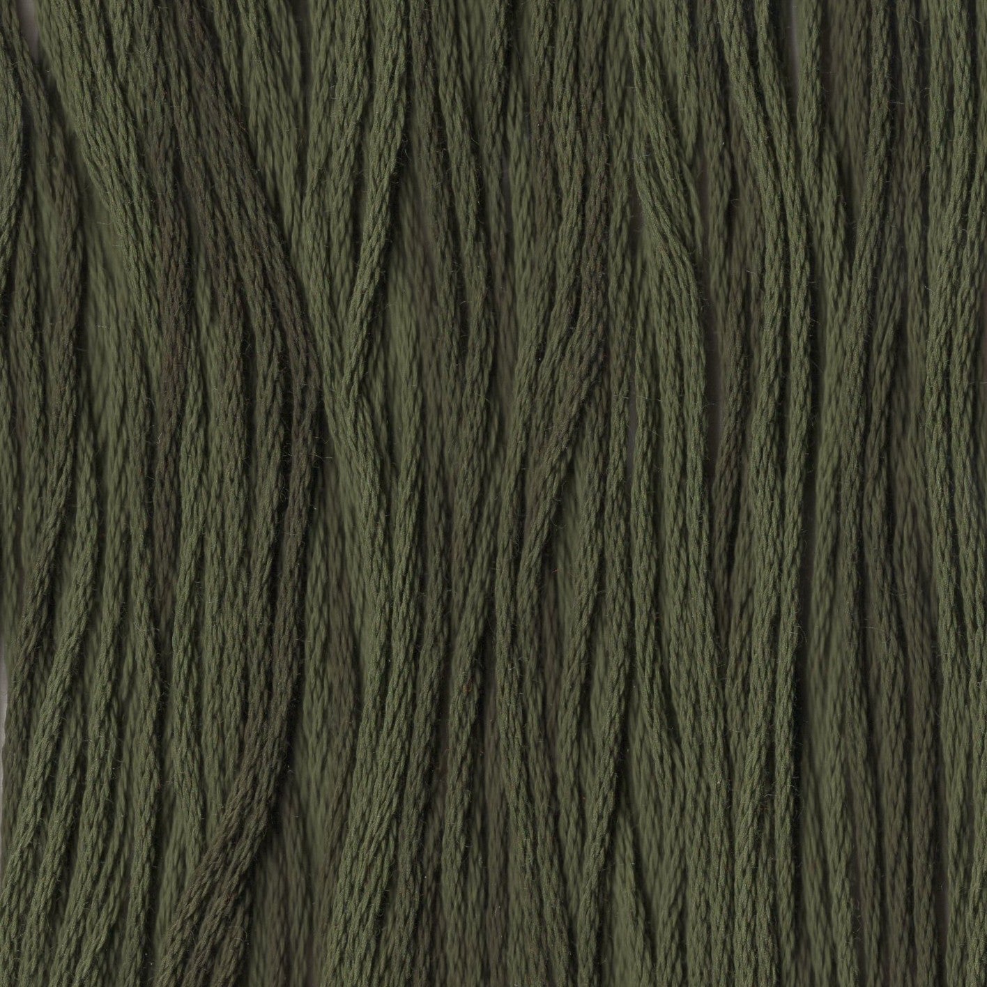 English Ivy - CCT-179
