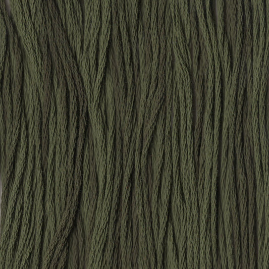 English Ivy - CCT-179