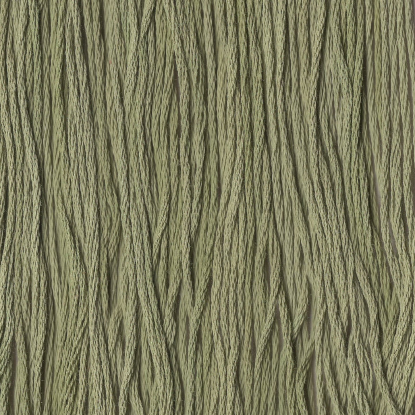 Eve's Leaves - CCT-139