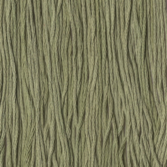 Eve's Leaves - CCT-139