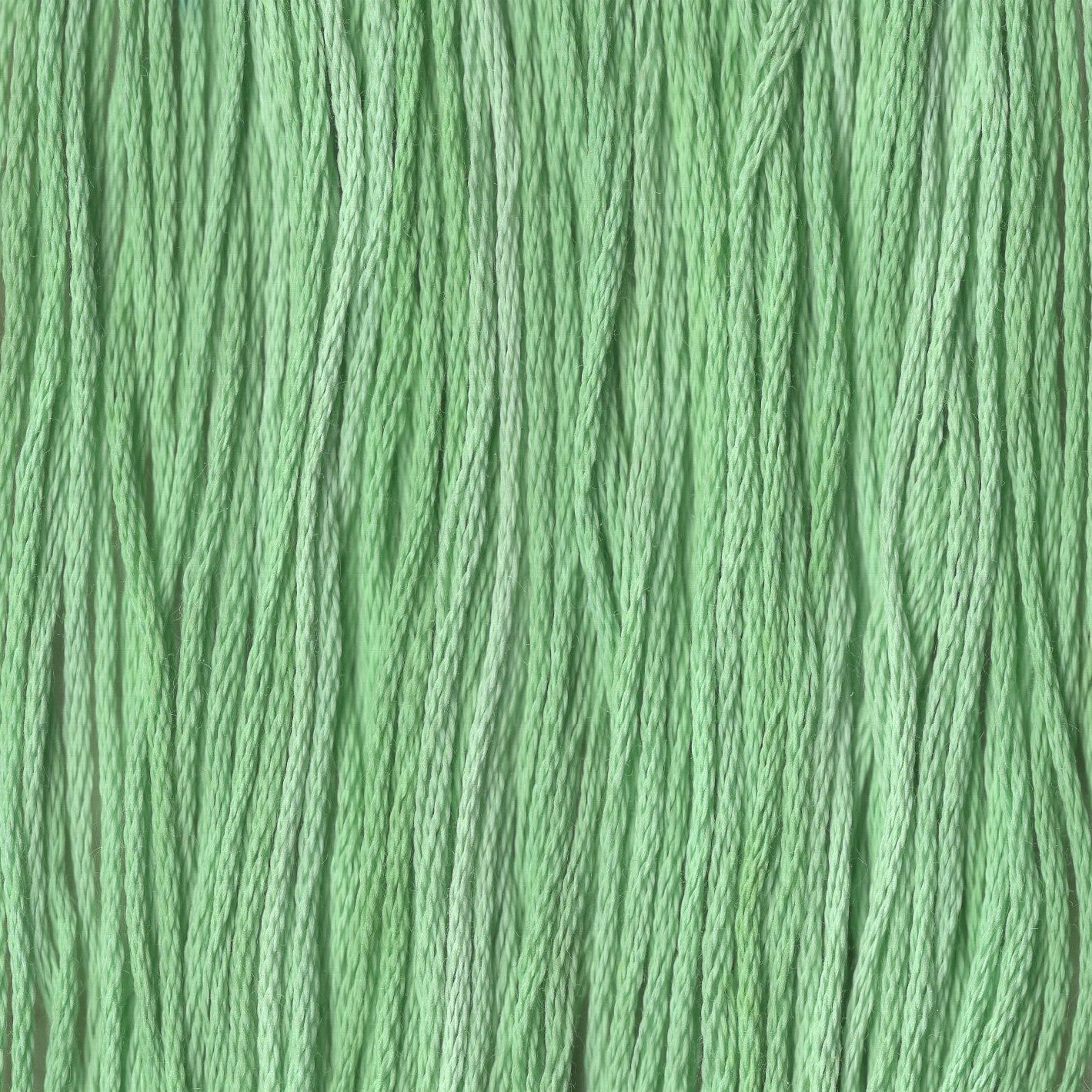 Fancy Green Nancy - CCT-117