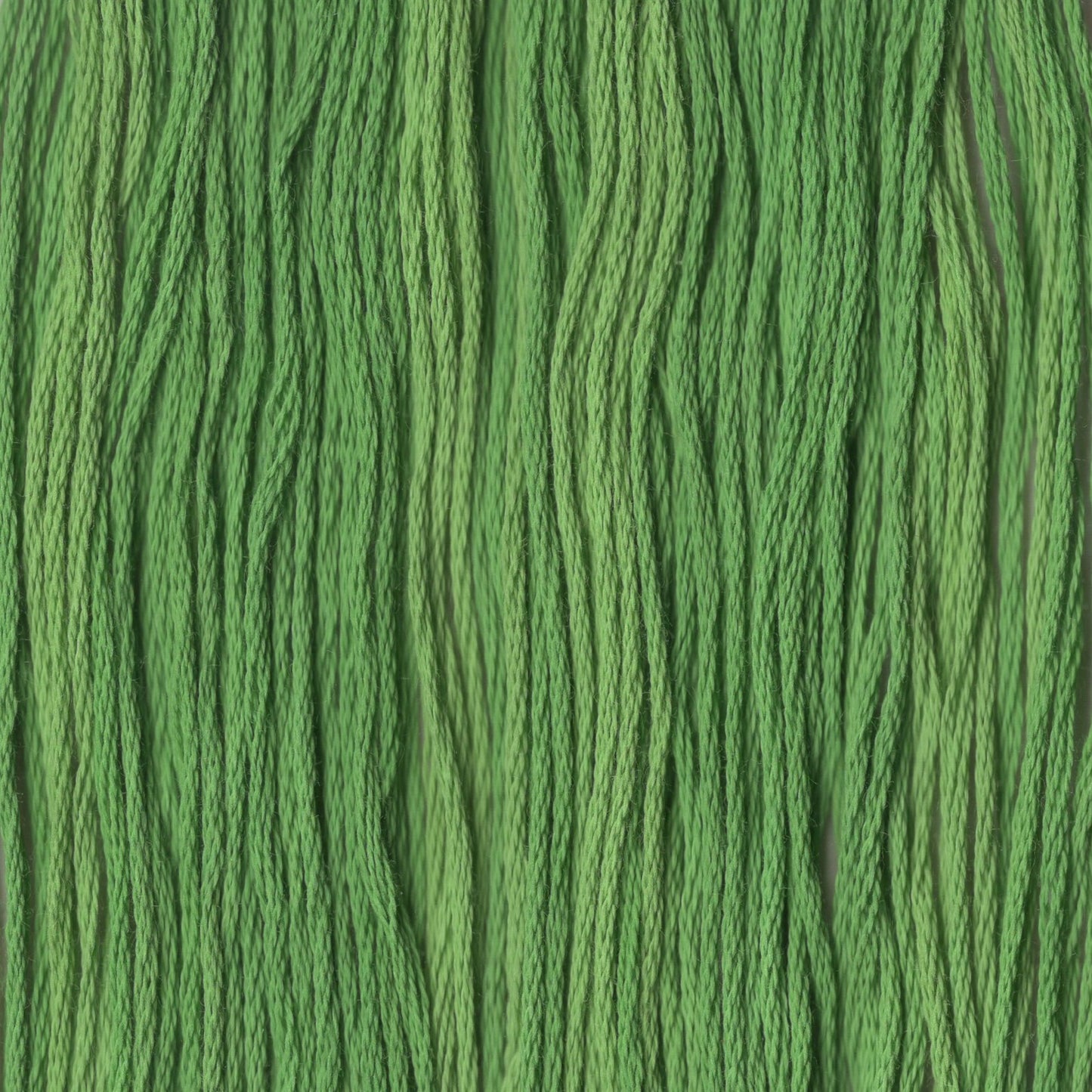 Fields of Green - CCT-271