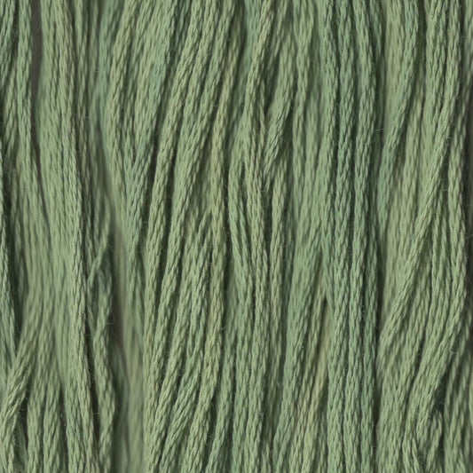 Four Leaf Clover - CCT-195