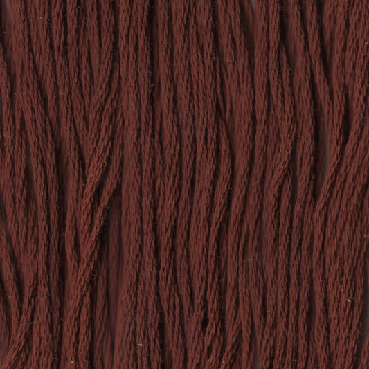 Fresh Brew - CCT-226